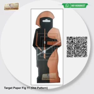 Target Paper Fig 11 (Old Pattern)